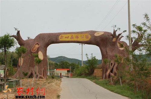 ��ɽɭ�ֹ��@