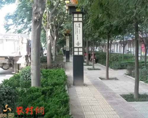 ���L�h�^�ϴ�֌����^������ä����