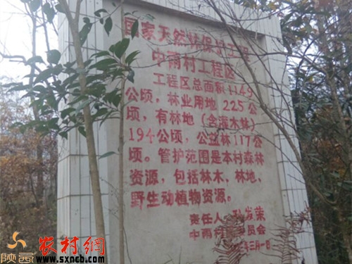 ������Ȼ�ֱ��o����������Ŀ��