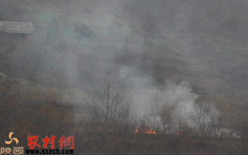 森林邊,村民焚燒雜草引起的明火。