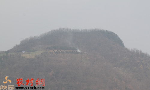 馬家莊的山坡上,村民點燃的雜草冒出的煙霧。