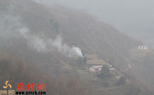 沿途,隨處可見燒火糞的現象。