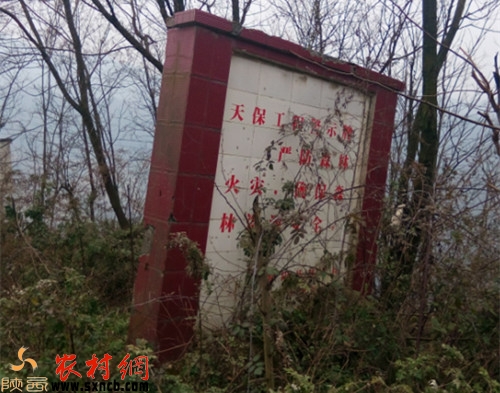 天保工程警示牌,森林防火的警示形同虛設。