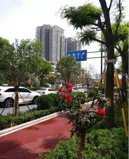 灞橋區著力打造西安最美城區 詳看進階之路