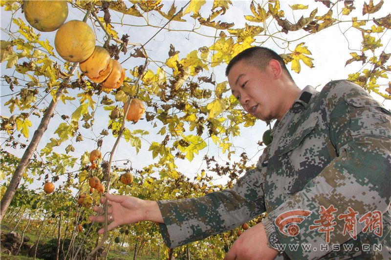 z1y25fz7.jpg 1073494.jpg