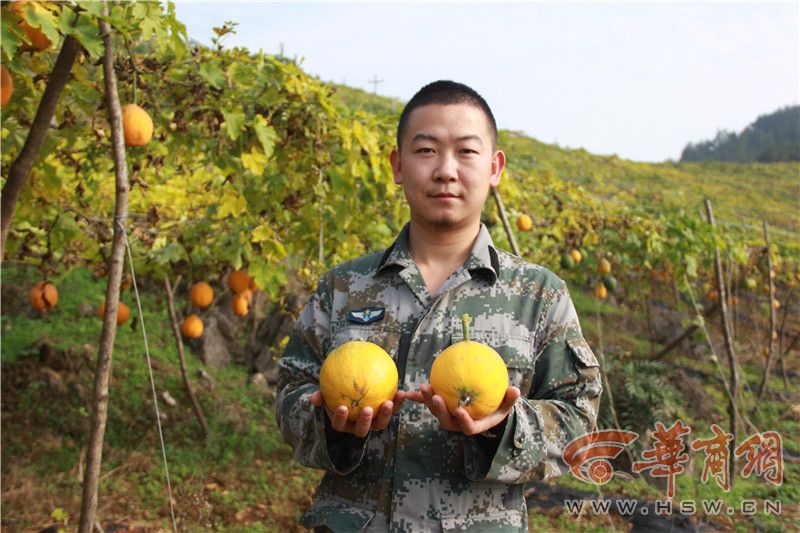 7z9x89dp.jpg 1073501.jpg