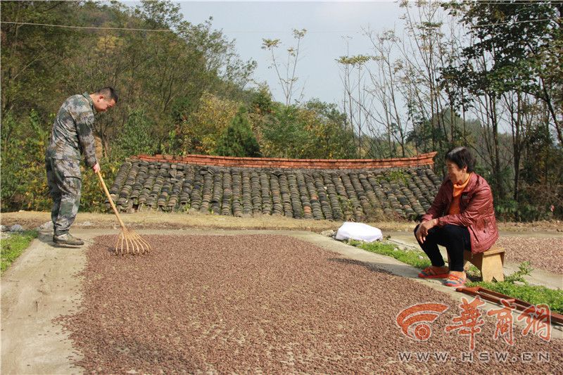 4918af0a.jpg 4918af0a.jpg