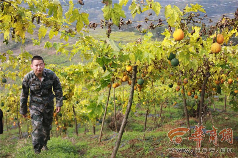 d7ykx57e.jpg 1073498.jpg