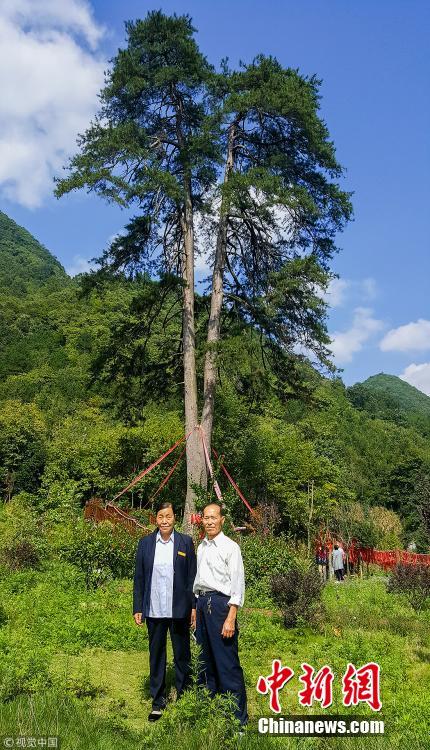 ����h��һ450�q�����޹Ř䡱�����L�ε�