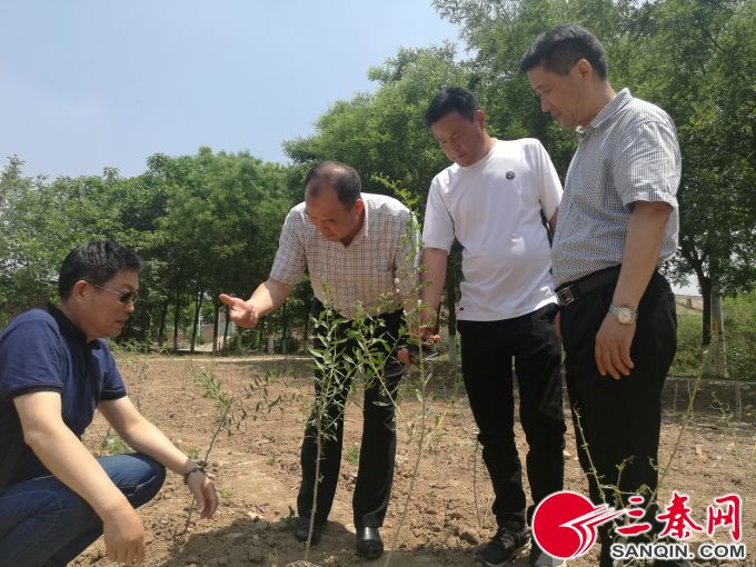 QQ圖片20180516201353