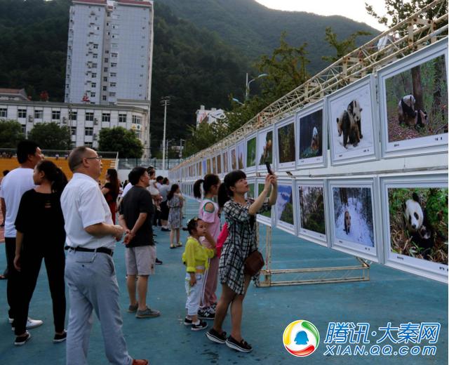 第九屆秦嶺大熊貓旅游節暨音樂節開幕