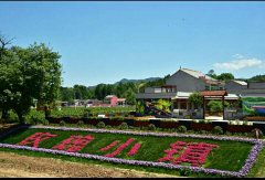 洛南縣扎實推進易地扶貧搬遷